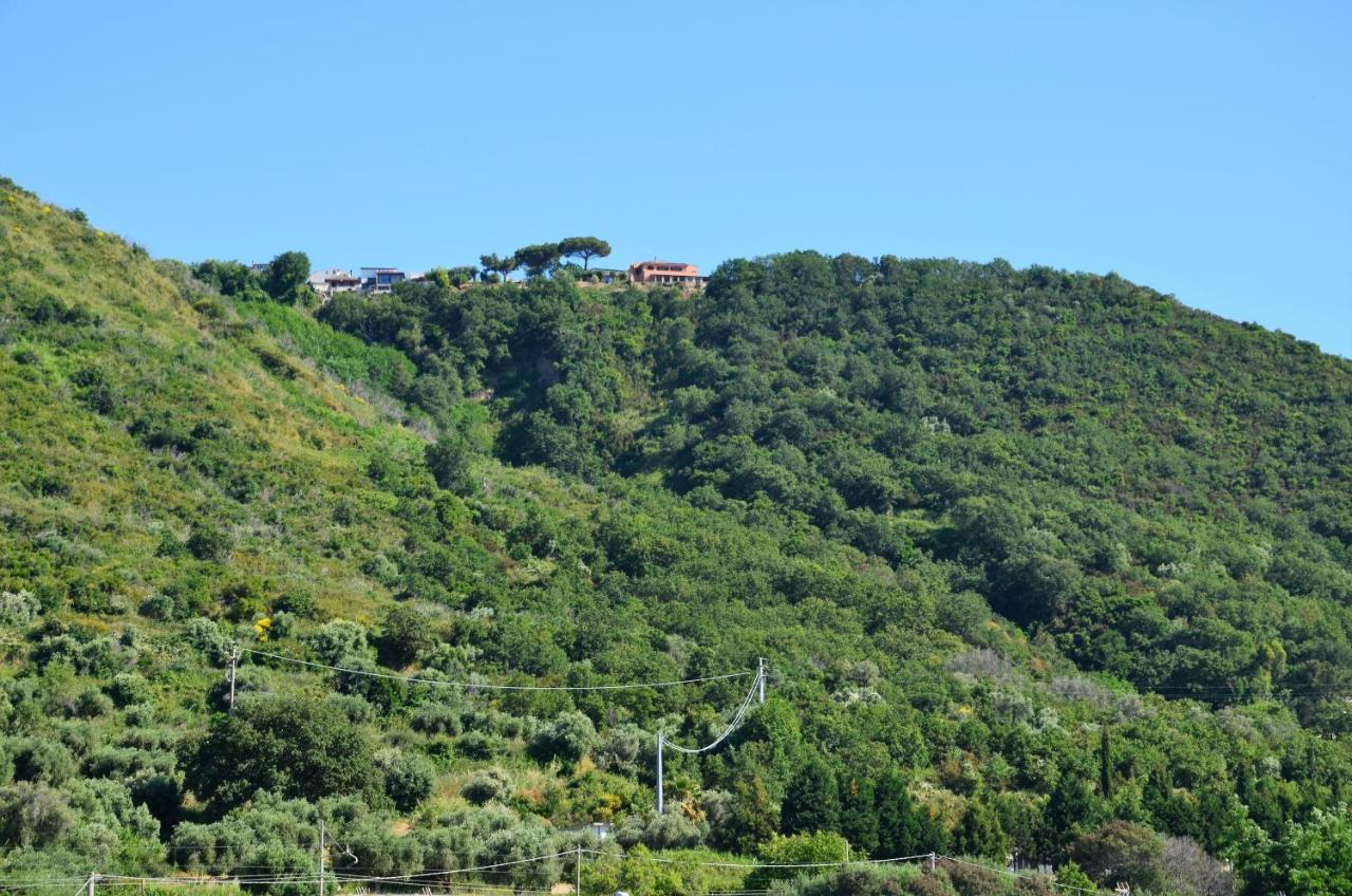 Appartement Penthouse Mare E Monti à Tropea Extérieur photo